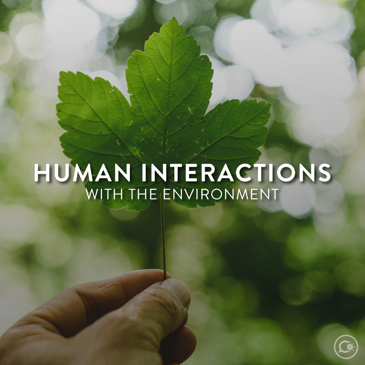Human Interactions with the Environment