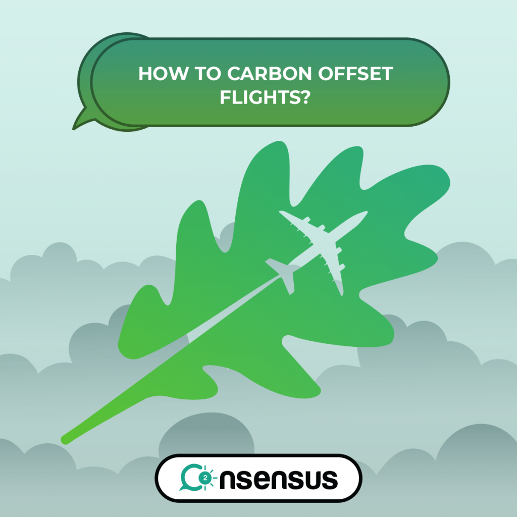 how-to-carbon-offset-flights-co2nsensus