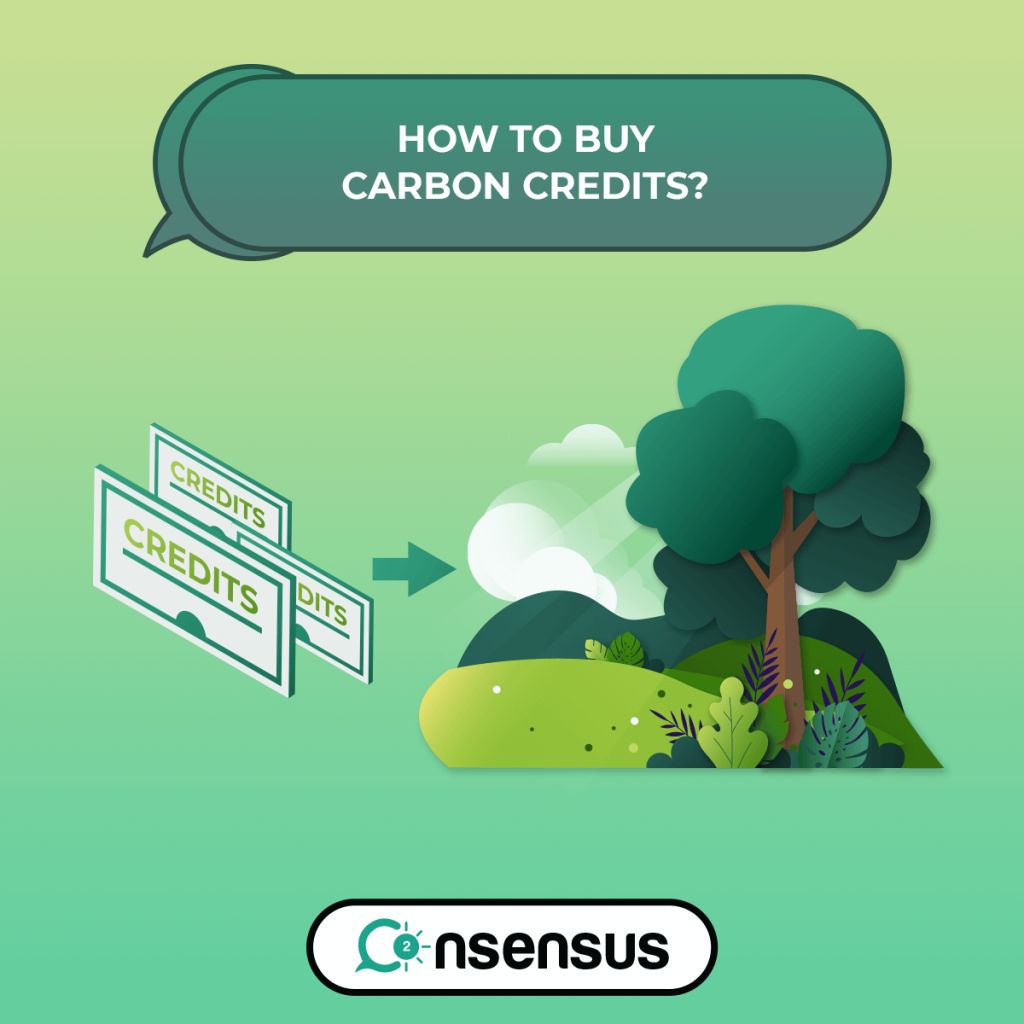 How to Buy Carbon Credits Co2nsensus