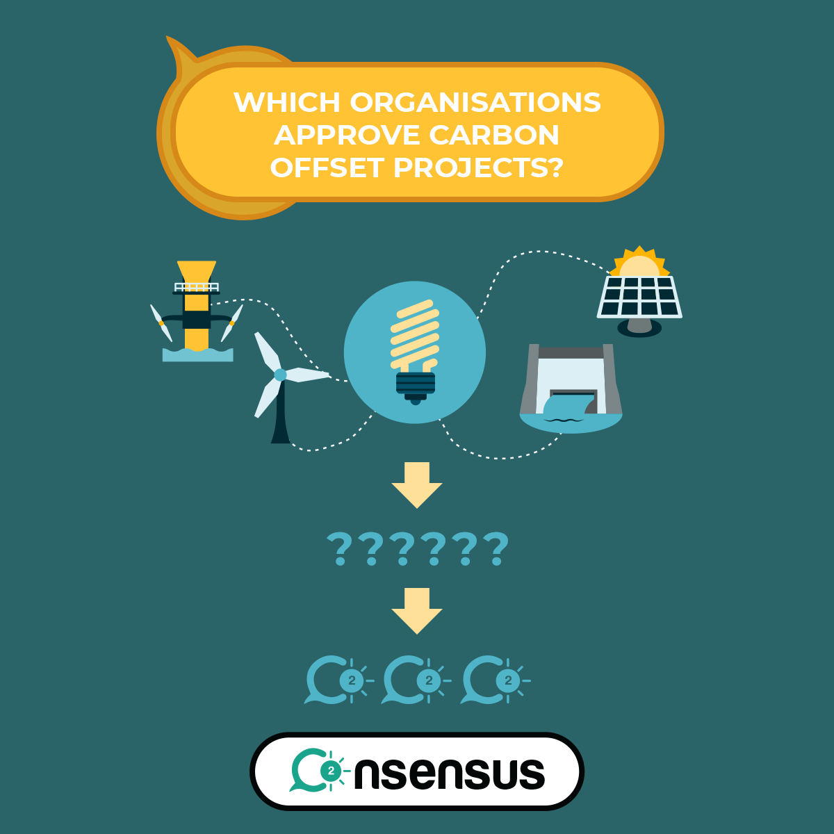 Which organizations approve carbon offset projects