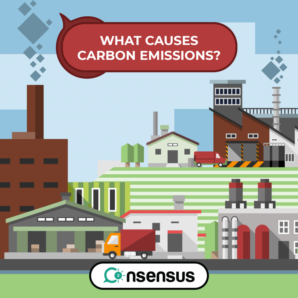 What Are The Causes Of Carbon Emissions