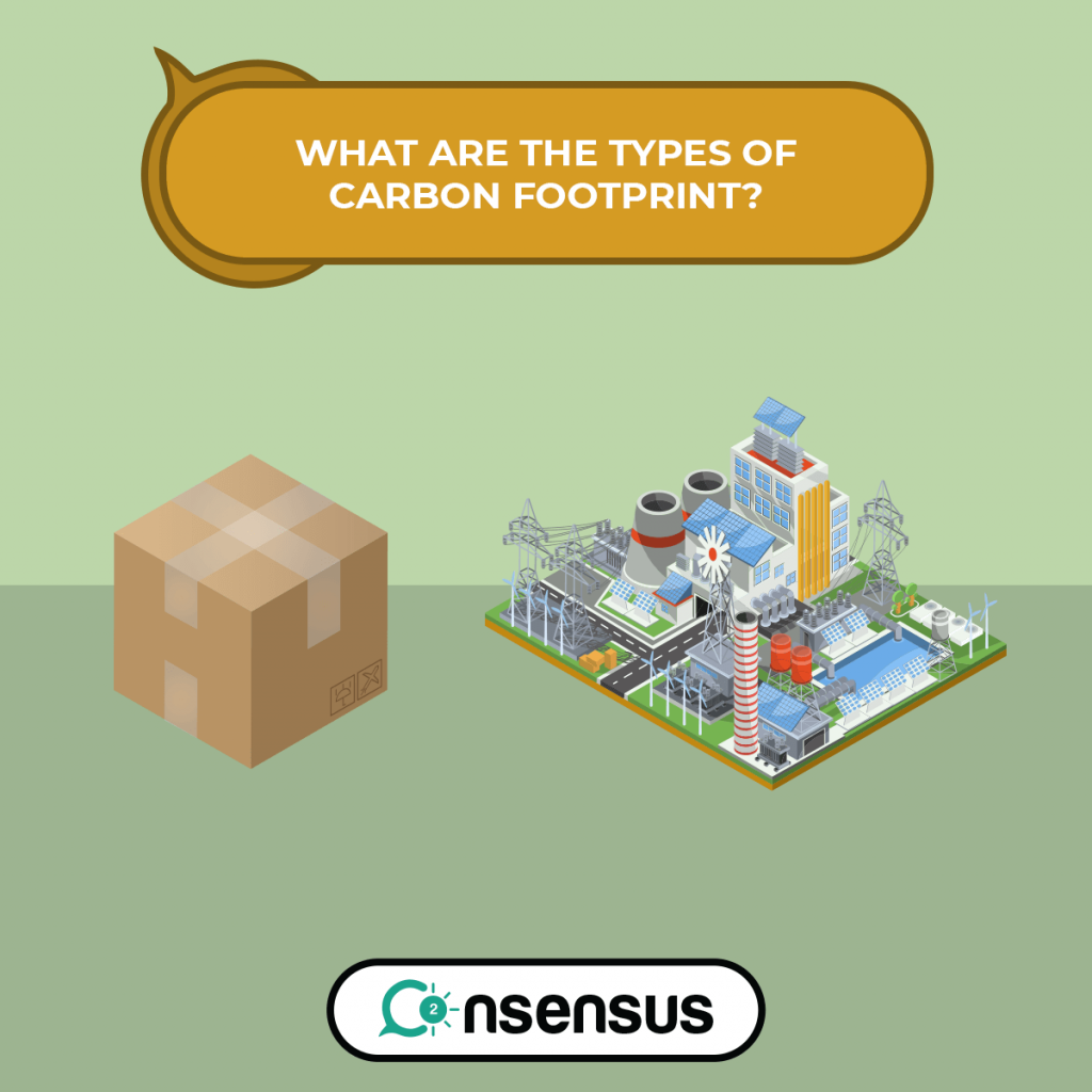 What Are The Types Of Carbon Footprint? - Co2nsensus